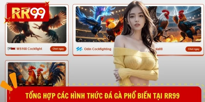 Tổng hợp các hình thức đá gà phổ biến tại RR99